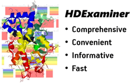 HDExaminer （HDX-MS解析用ソフトウェア）